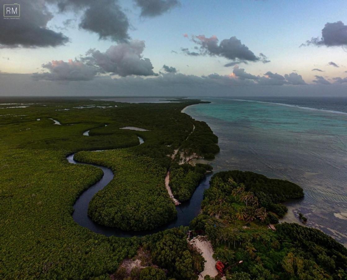 Apartmán Caribbean Casa Blanca Xcalak Exteriér fotografie